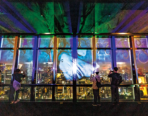 projection1